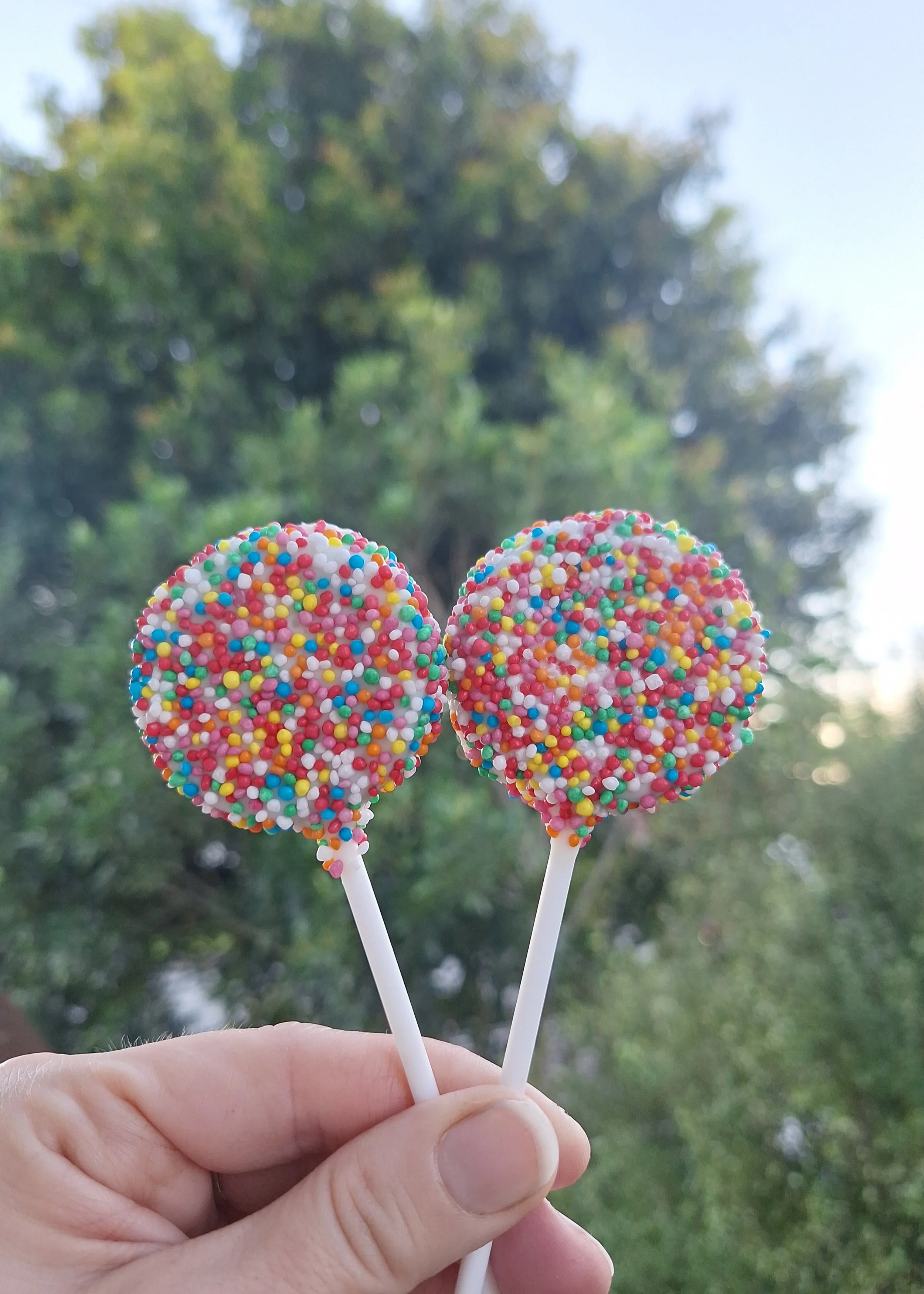 Two round cake pops covered in rainbow sprinkles, held outdoors
