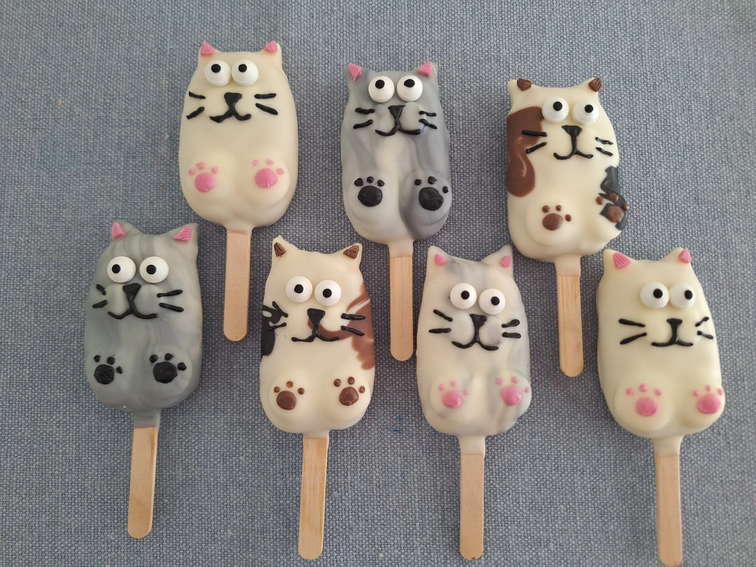 Handmade cat and animal cakesicles